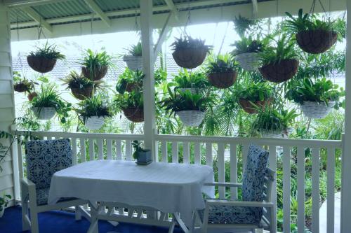 a white porch with a table and potted plants at Debbie's Place in Rainbow Beach