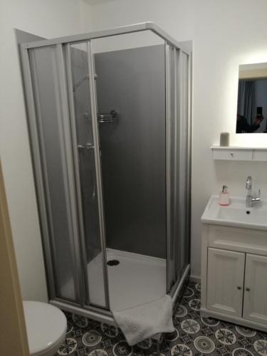 a shower in a bathroom with a toilet and a sink at Gasthaus Pension Bretthäusl in Glashütte