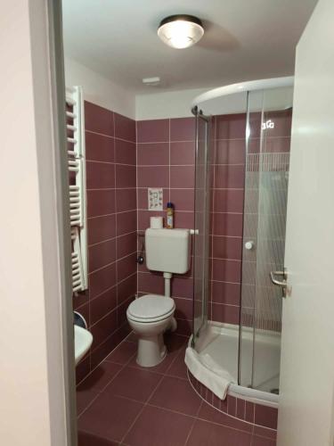 a bathroom with a toilet and a shower at Margaréta Apartman és Üdülőház in Bogács