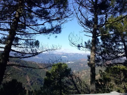 a view of a mountain valley through the trees at La Posada del Recovero in Genalguacil
