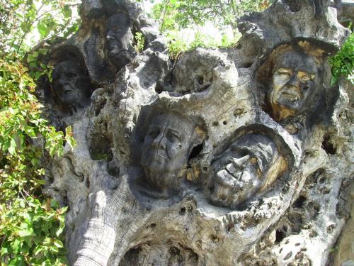 a tree stump with faces carved into it at La Posada del Recovero in Genalguacil