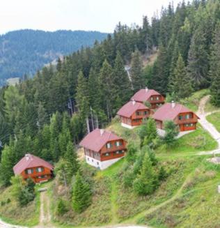 Almhüttendorf Klippitztörl