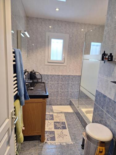 ChassagnyにあるChambre Noah chez Laurentの洗面台とシャワー付きのバスルーム