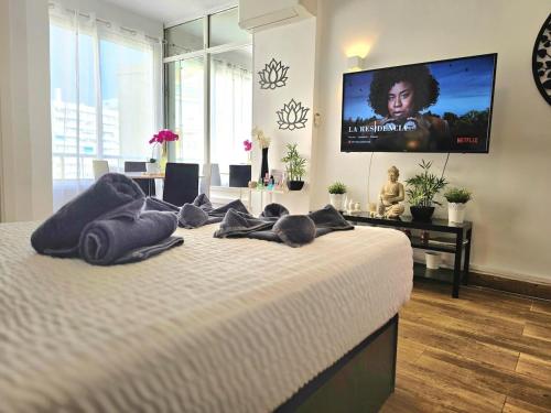 The Harmony Luxe Torremolinos City Center with FREE private parking and seasonal pool Free wifi and Netflix BY NAMASTE ELITE