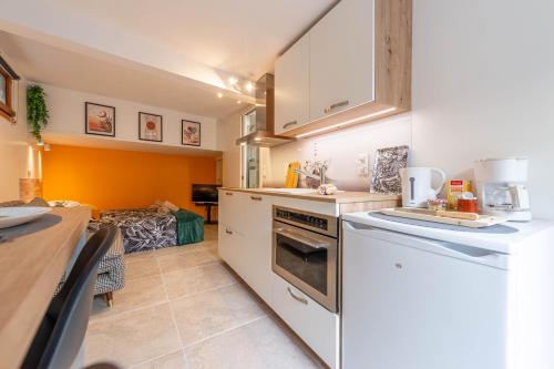 une cuisine avec un réfrigérateur blanc et un évier dans l'établissement TheLittleCosy Studio I Annecy Lake I Talloires, à Talloires