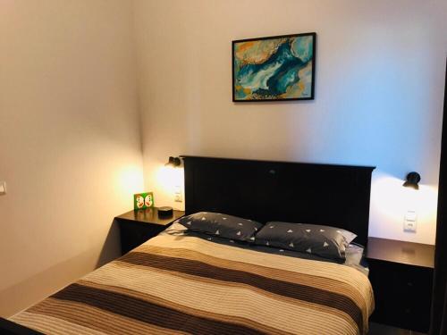 a bedroom with a bed and a picture on the wall at Samothraki Vacation Home, amazing Saos view, 2BR in Samothráki