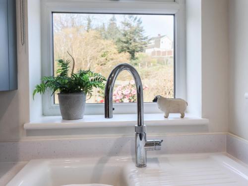 a sink in a kitchen with a window at Glynside in Conwy