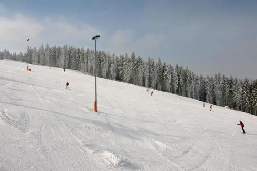 a group of people skiing down a snow covered slope at Villa Silva - Oberhof in Oberhof