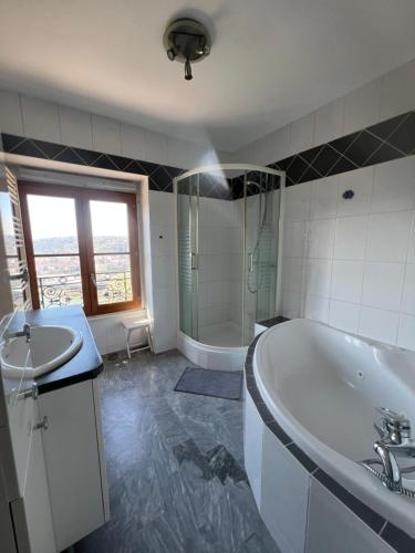 a bathroom with a tub and a sink and a shower at Les terrasses du Rhône in Vienne