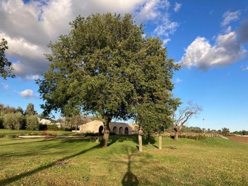 a tree in the middle of a field with a building at Agriturismo Pieve San Biagio - Adults Only in Macerata