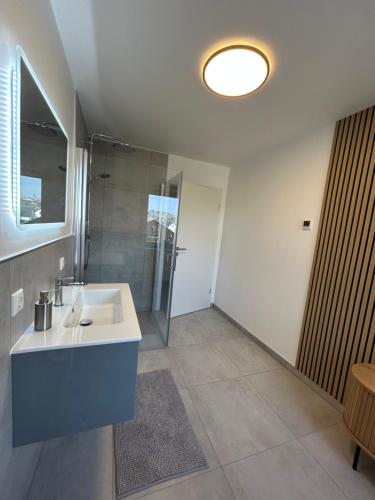 a bathroom with a sink and a shower at Mohla-Suite in Köditz
