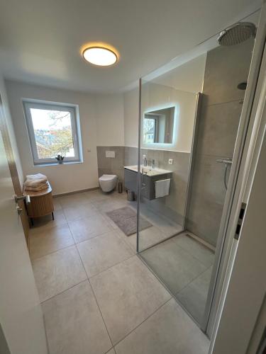 a bathroom with a shower and a sink and a toilet at Mohla-Suite in Köditz