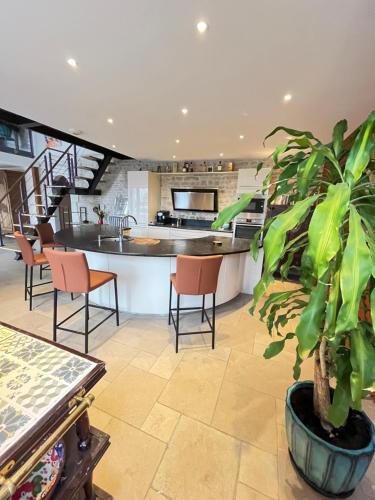 une cuisine avec une plante en pot dans une pièce dans l'établissement Maison à chambois, à Gouffern en Auge