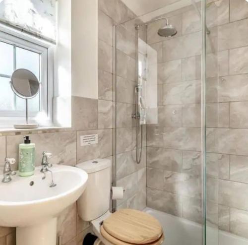 a bathroom with a toilet and a sink and a shower at Great Sampford B&B Sorrells farm in Hempstead