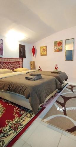 Trikala Apartments 3