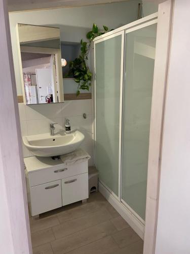 a bathroom with a sink and a glass shower at Dimora Criosa b&b in Ruvo di Puglia