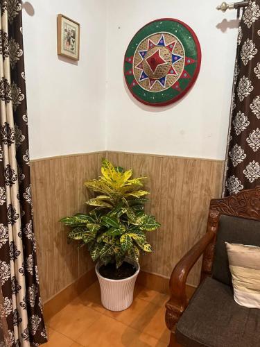 a room with a potted plant and a plate on the wall at Amazing Homestay in Guwahati