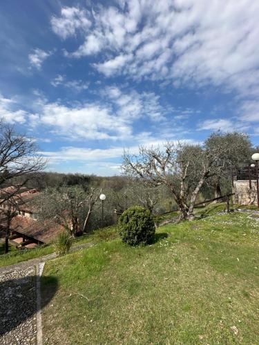 a field of grass with trees and a blue sky at Lake Garda Hills in Ponti Sul Mincio