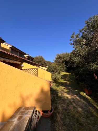 a yellow wall next to a yard with trees at Le Mimose in Punta Ala