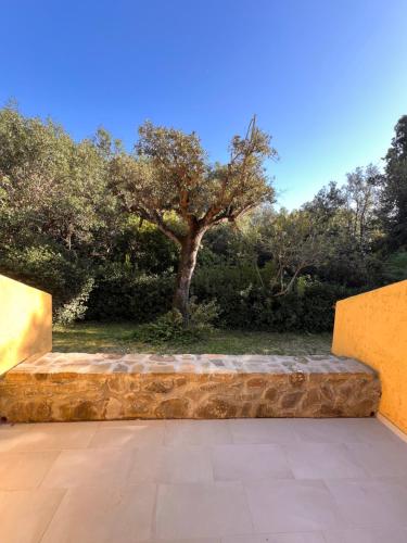 a stone patio with a tree in the background at Le Mimose in Punta Ala