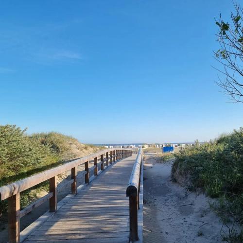 a wooden boardwalk leading to the beach at Ferienwohnung Penthouse Wasserperle in Norden
