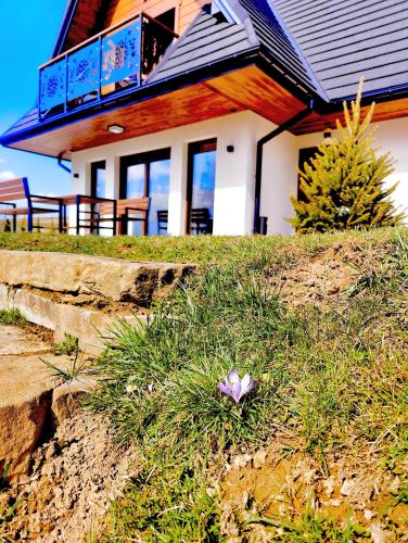 a flower in the grass in front of a house at Na polanie in Czerwienne