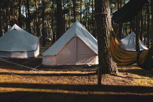 Gallery image of Glamping Spot - La Flotte en Ré in La Flotte
