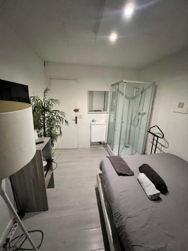 une chambre avec un lit et une douche en verre dans l'établissement Chambre proximité Bondy-Paris 1-2-3, à Bondy
