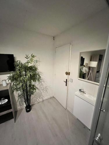 une chambre avec une plante en pot et une porte blanche dans l'établissement Chambre proximité Bondy-Paris 1-2-3, à Bondy