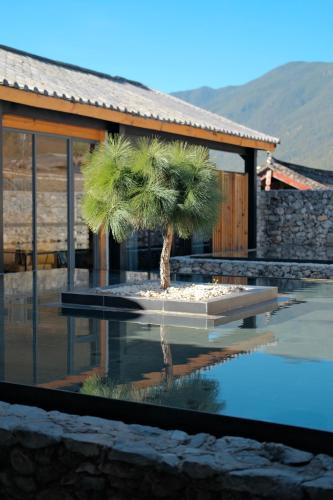 a small palm tree sitting on top of a pool at The Rock Hotel in Lijiang
