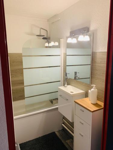 une salle de bain avec un lavabo et un miroir dans l'établissement Grizzli rouge - pied des pistes avec parking, à Lélex