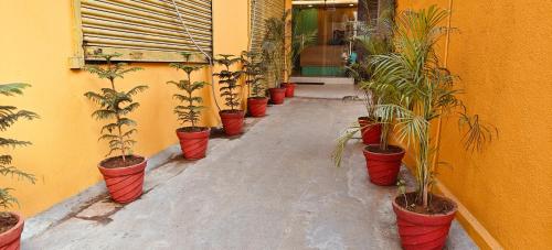 a row of potted plants in red pots on a hallway at Akshays Inn in Chengalpattu