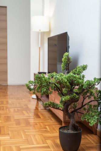 Fotografie z fotogalerie ubytování Houseloft Forum Premium v Soluni