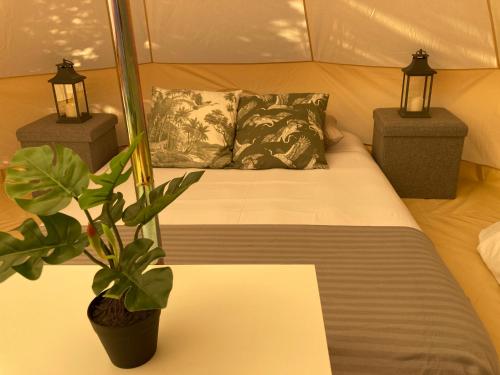 a bed in a tent with a potted plant on it at Bellas Glamping in Arrentela