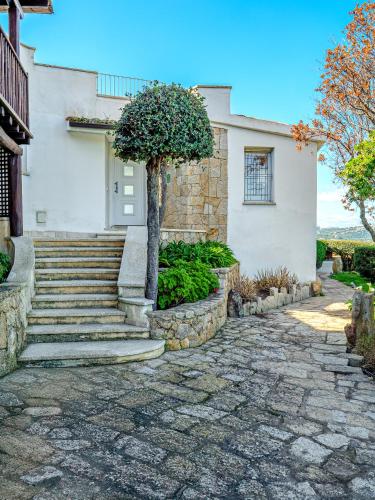 a house with stairs and a tree in front of it at Villa Paradiso in Cala Bitta
