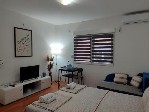Μια τηλεόραση ή/και κέντρο ψυχαγωγίας στο Relax Apartmani Niš