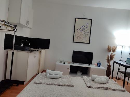 Η κουζίνα ή μικρή κουζίνα στο Relax Apartmani Niš