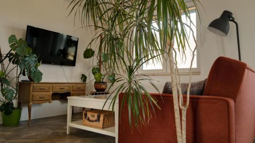 a living room with a couch and a table with plants at Lawendowy Raj in Pilchowice