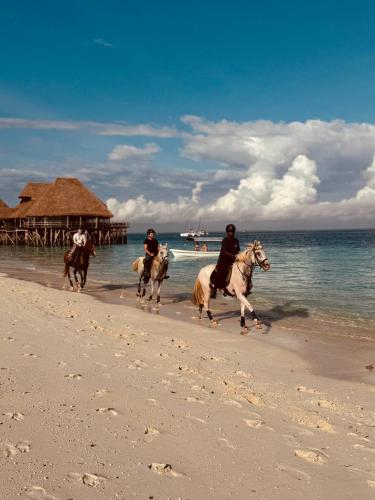a group of people riding horses on the beach at Compass Hostel in Nungwi