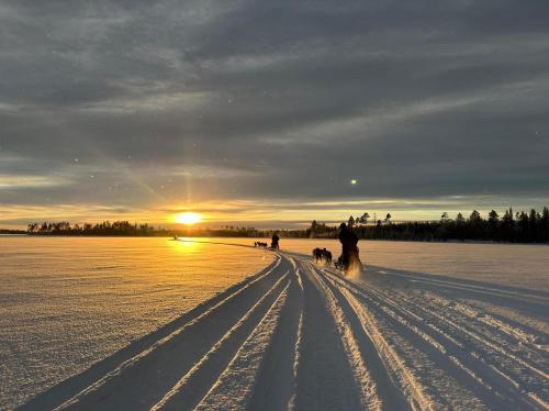 a group of people and dogs walking in the snow at FulleRulle in Båtskärsnäs