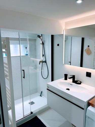 une salle de bain blanche avec une douche et un lavabo dans l'établissement Peaceful Oasis in Ville d'Hiver, à Arcachon