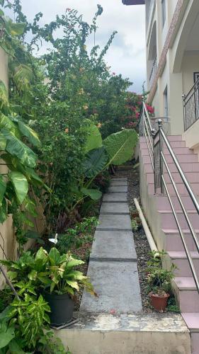a walkway leading up to a house with plants at Soul Travellers Dagatan Guesthouse in Badian