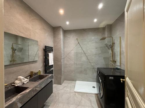 a bathroom with a sink and a shower at LE LYNX HAUSSMANIEN appartement tout confort, climatisé avec parking privé, à deux pas du centre in Colmar