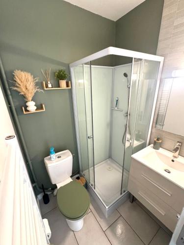 une salle de bain avec une douche, des toilettes et un lavabo dans l'établissement Rêve Tropical, Proche plage, place de parking, à Saint-Jean-de-Monts