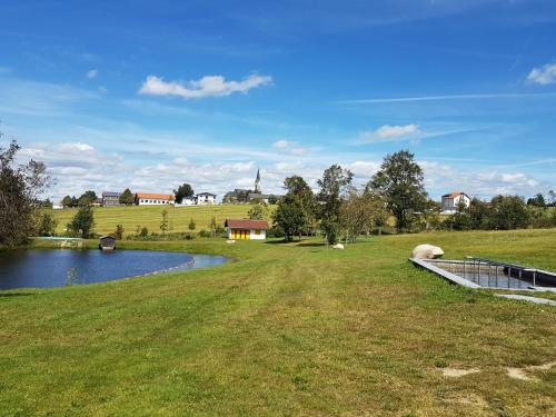 a grassy field with a body of water at Hotel Sonnenhof - Tante ALMA`s Sommerfrische in Sonnen