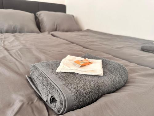 Spacious Netflix Apartment for up to 4 People with Massage Shower