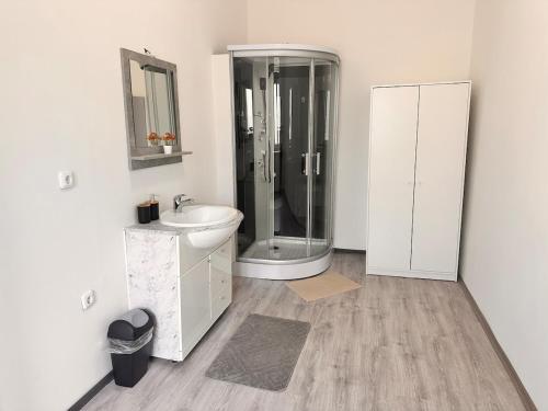 Spacious Netflix Apartment for up to 4 People with Massage Shower