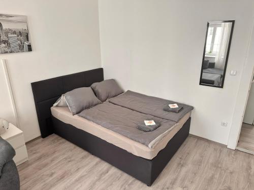 Spacious Netflix Apartment for up to 4 People with Massage Shower