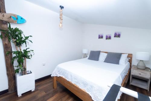 a white bedroom with a bed and a plant at Cristal Blue Barú in Baru