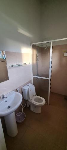 a bathroom with a toilet and a sink at Rose Villa in Malabe
